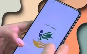 Ikuti Langkah Ini untuk Mengecek Status DTSEN Anda