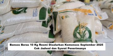 Bansos Beras 10 Kg Resmi Disalurkan Kemensos September 2025, Cek Jadwal dan Syarat Penerimanya