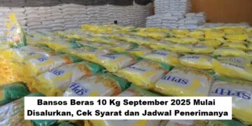 Bansos Beras 10 Kg September 2025 Mulai Disalurkan, Cek Syarat dan Jadwal Penerimanya