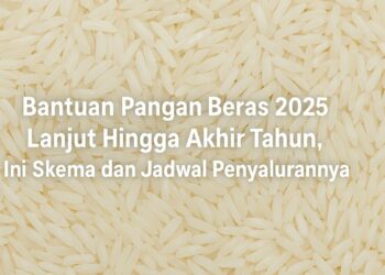 Bantuan Pangan Beras 2025 Lanjut Hingga Akhir Tahun, Ini Skema dan Jadwal Penyalurannya