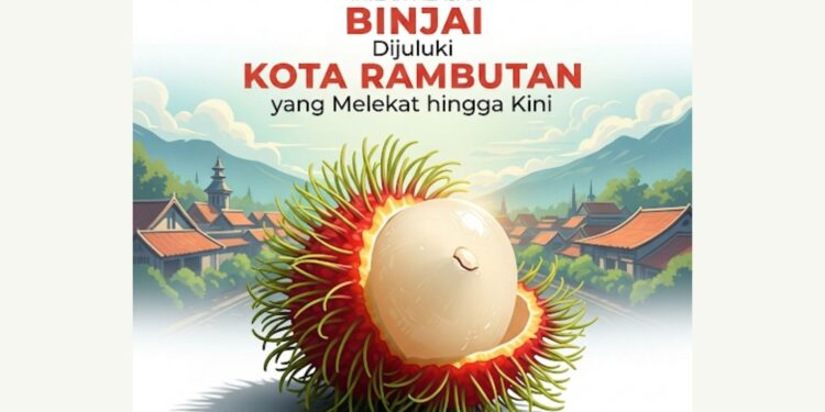 Inilah Alasan Binjai Dijuluki Kota Rambutan yang Melekat hingga Kini