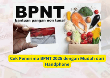 Cek Penerima BPNT 2025 dengan Mudah dari Handphone