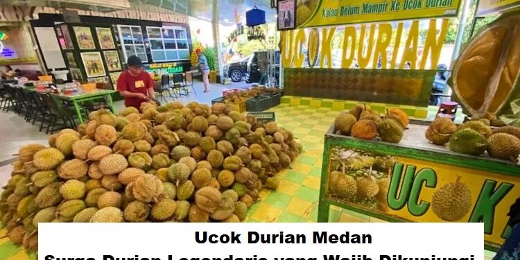 Ucok Durian Medan: Surga Durian Legendaris yang Wajib Dikunjungi