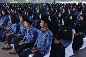 Peluang Karier di CPNS 2025: Cara Cek Formasi Sesuai Jurusan D3 dan S1