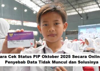 Cara Cek Status PIP Oktober 2025 Secara Online: Penyebab Data Tidak Muncul dan Solusinya