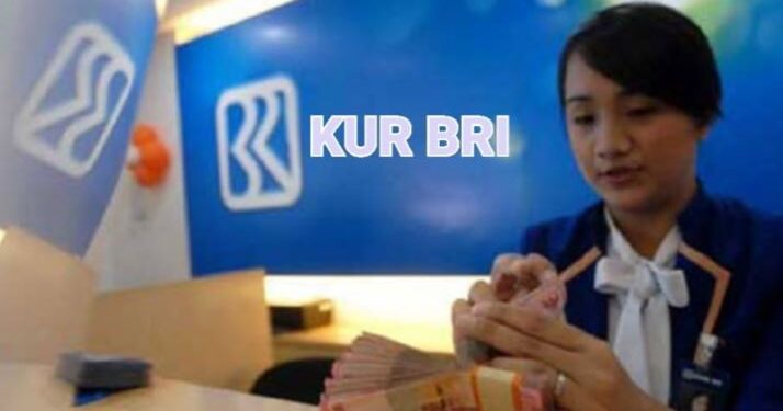 KUR BRI 2025: Solusi Pinjaman Modal Usaha UMKM Bunga Rendah dan Proses Mudah