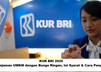 KUR BRI 2025: Solusi Pinjaman UMKM dengan Bunga Ringan, Ini Syarat dan Cara Pengajuannya