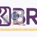 Cek Status Pengajuan KUR BRI 2025 via BRImo dengan Mudah
