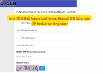 Daftar DTSEN (Data Terpadu Sosial Ekonomi Nasional ) 2025 Online Lewat HP: Panduan dan Persyaratan