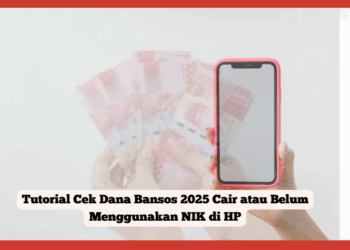 Tutorial Cek Dana Bansos 2025 Cair atau Belum Menggunakan NIK di HP