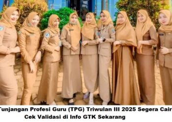 Tunjangan Profesi Guru (TPG) Triwulan III 2025 Segera Cair, Cek Validasi di Info GTK Sekarang