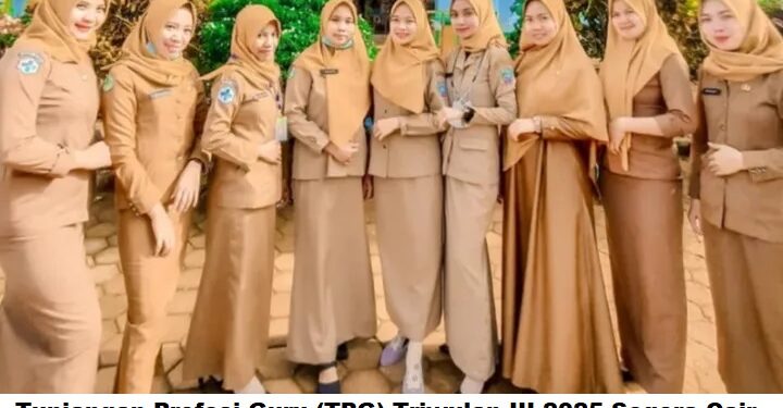 Tunjangan Profesi Guru (TPG) Triwulan III 2025 Segera Cair, Cek Validasi di Info GTK Sekarang