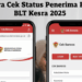 Cara Cek BLT Kesra 2025 Rp900 Ribu dari Kemensos Lewat HP dan Website Kemensos