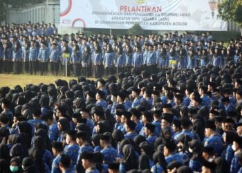 Cara Cepat Cek NIP PPPK Secara Mandiri Lewat HP 2025
