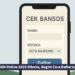 DTSEN Online 2025 Dibuka, Begini Cara Daftarnya