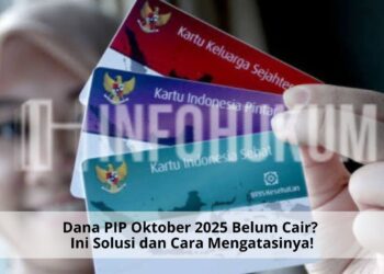Dana PIP Oktober 2025 Belum Cair? Ini Solusi dan Cara Mengatasinya!