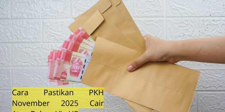 Cara Pastikan PKH November 2025 Cair Atau Belum Via HP