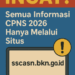 Ingat! Semua Informasi CPNS 2026 Hanya Melalui Situs sscasn.bkn.go.id