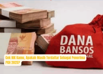 Cek NIK Kamu, Apakah Masih Terdaftar Sebagai Penerima PKH 2025?