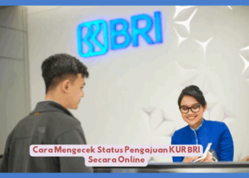 Cara Mengecek Status Pengajuan KUR BRI Secara Online