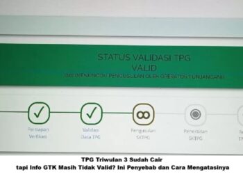 TPG Triwulan 3 Sudah Cair: tapi Info GTK Masih Tidak Valid? Ini Penyebab dan Cara Mengatasinya