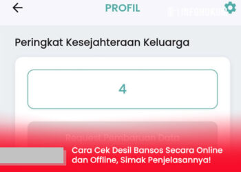 Cara Cek Desil Bansos Secara Online dan Offline, Simak Penjelasannya!