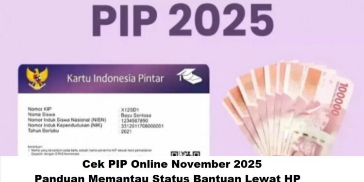 Cek PIP Online November 2025: Panduan Memantau Status Bantuan Lewat HP