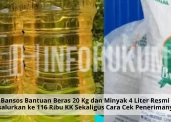 Bansos Bantuan Beras 20 Kg dan Minyak 4 Liter Resmi Disalurkan ke 116 Ribu KK Sekaligus Cara Cek Penerimanya