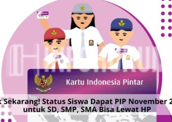 Cek Sekarang! Status Siswa Dapat PIP November 2025 untuk SD, SMP, SMA Bisa Lewat HP