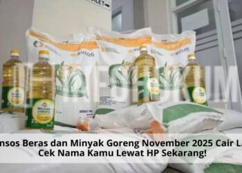 Bansos Beras dan Minyak Goreng November 2025 Cair Lagi, Cek Nama Kamu Lewat HP Sekarang!