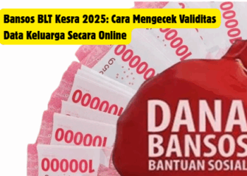 Bansos BLT Kesra 2025: Cara Mengecek Validitas Data Keluarga Secara Online