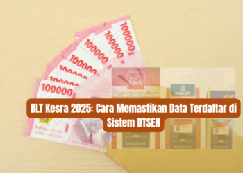 BLT Kesra 2025: Cara Memastikan Data Terdaftar di Sistem DTSEN