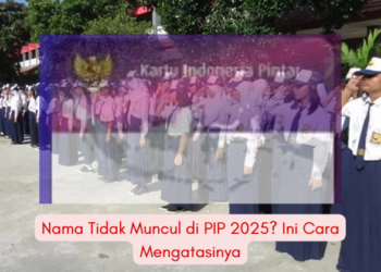 Nama Tidak Muncul di PIP 2025? Ini Cara Mengatasinya