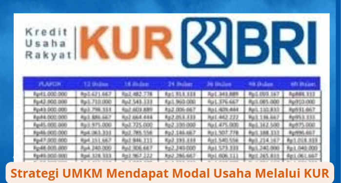 Strategi UMKM Mendapat Modal Usaha Melalui KUR BRI