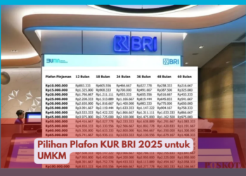 Pilihan Plafon KUR BRI 2025 untuk UMKM
