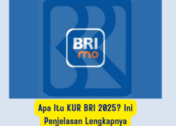 Apa Itu KUR BRI 2025? Ini Penjelasan Lengkapnya