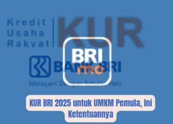 KUR BRI 2025 untuk UMKM Pemula, Ini Ketentuannya