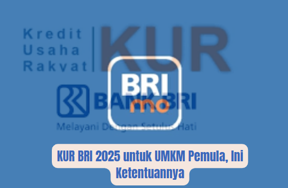 KUR BRI 2025 untuk UMKM Pemula, Ini Ketentuannya