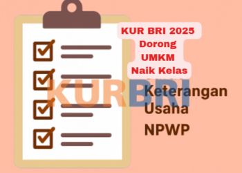 KUR BRI 2025 Dorong UMKM Naik Kelas