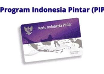 PIP 2025 Termin 3: Cara Cek Status Pencairan Melalui Aplikasi SIPINTAR