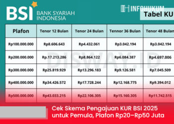 Cek Skema Pengajuan KUR BSI 2025 untuk Pemula, Plafon Rp20–Rp50 Juta Tersedia