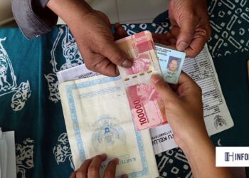 Panduan Lengkap Cek Desil DTSEN BPS, Simak Apa yang Harus Disiapkan