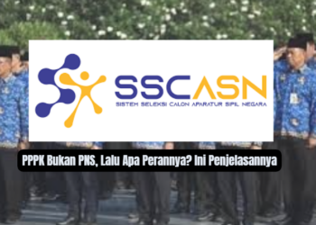 PPPK Bukan PNS, Lalu Apa Perannya? Ini Penjelasannya