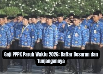 Gaji PPPK Paruh Waktu 2026: Daftar Besaran dan Tunjangannya