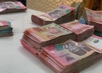 Jangan Sampai Gagal! Syarat dan Prosedur KUR BNI yang Harus Dipenuhi