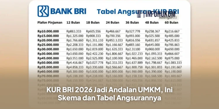 KUR BRI 2026 Jadi Andalan UMKM, Ini Skema dan Tabel Angsurannya