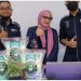 Enam Tim Kewirausahaan UMSU Gelar Bazar di Expo KMI Nasional 2021